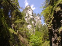 /album/fotogaleria-uvod1/a17072011430-2-jpg/